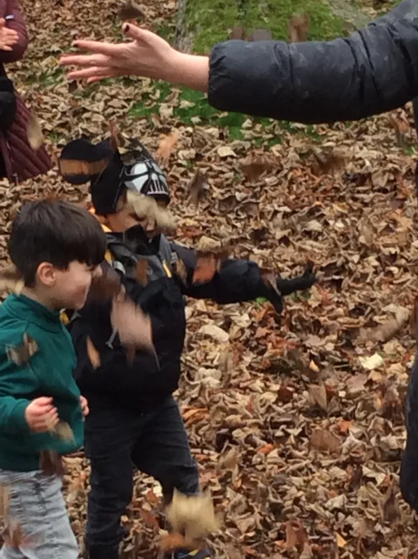 Gallery - created at 2024-11-05 15:27:50 - image 17 Gallery - created at 2024-11-05 15:27:50 - image 17