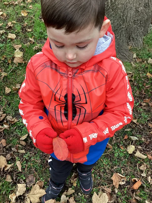 Gallery - created at 2024-11-05 15:27:50 - image 70 Gallery - created at 2024-11-05 15:27:50 - image 70