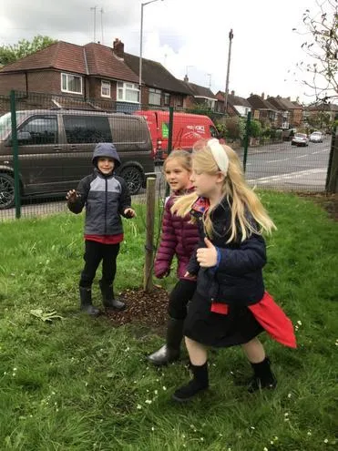 Gallery - created at 2024-12-05 13:35:53 - image 10 Gallery - created at 2024-12-05 13:35:53 - image 10