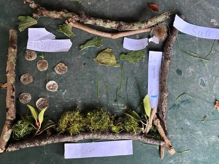 Autumn 2023 - 15th November - Saplings - The Water Cycle - image 2 Autumn 2023 - 15th November - Saplings - The Water Cycle - image 2