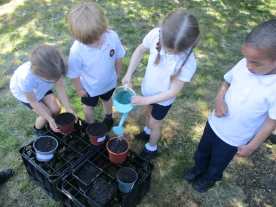 Planting - image 30
