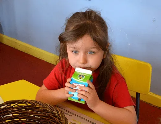 Gallery - created at 2023-11-21 13:49:34 - image 7 Gallery - created at 2023-11-21 13:49:34 - image 7