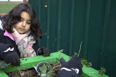 Gallery - created at 2025-11-18 16:17:01 - image 3