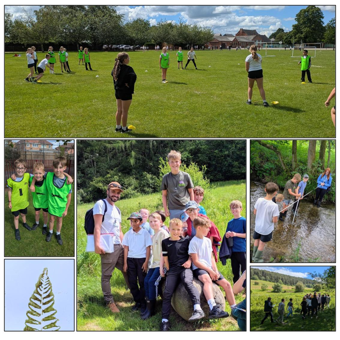 Outdoor learning in Year 5