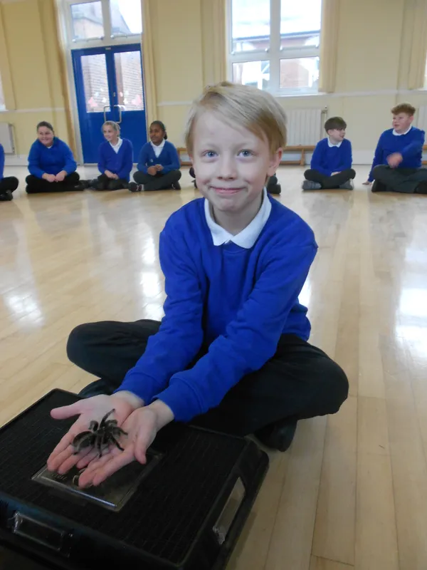 Y6 Reptile Rendezvous - image 82