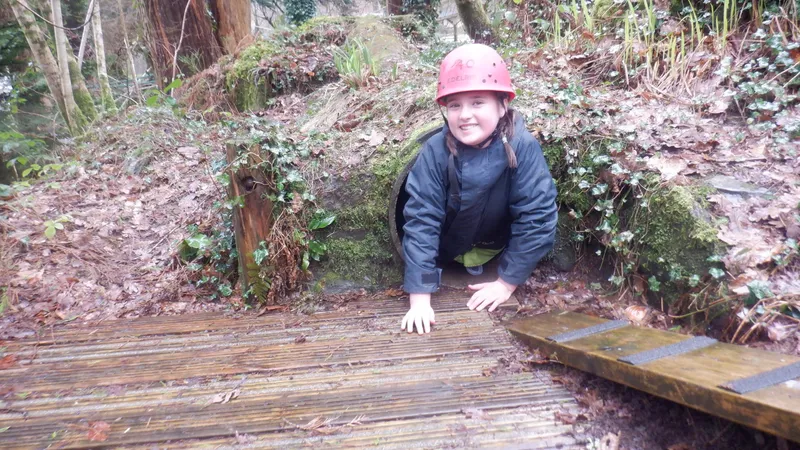 Gallery - created at 2024-02-27 21:54:15 - image 38 Gallery - created at 2024-02-27 21:54:15 - image 38