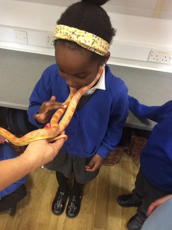 Gallery - created at 2024-03-05 13:52:56 - image 12 Gallery - created at 2024-03-05 13:52:56 - image 12