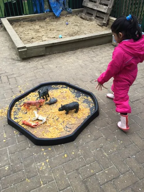 Nursery 04.03.2026 - image 14