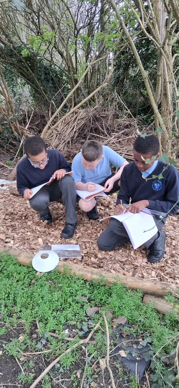 y6 active learning - image 20