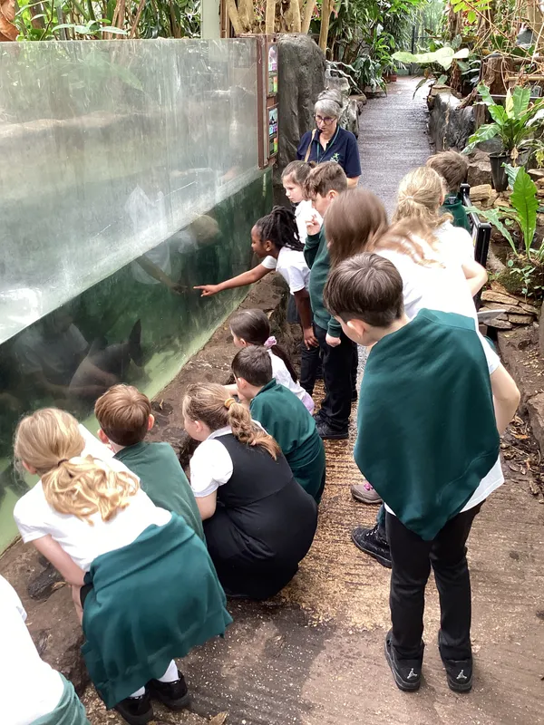 Gallery - created at 2025-03-14 10:11:21 - image 13 Gallery - created at 2025-03-14 10:11:21 - image 13