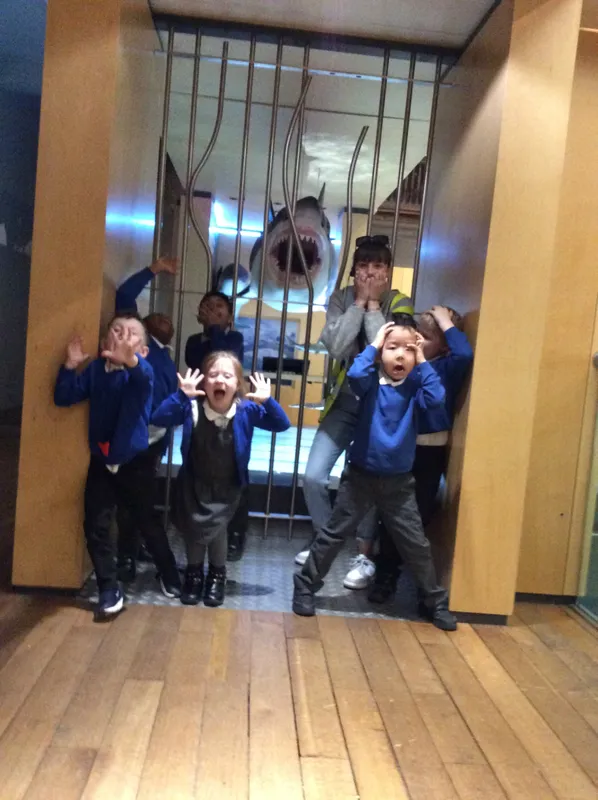 Gallery - created at 2024-02-09 11:53:37 - image 40