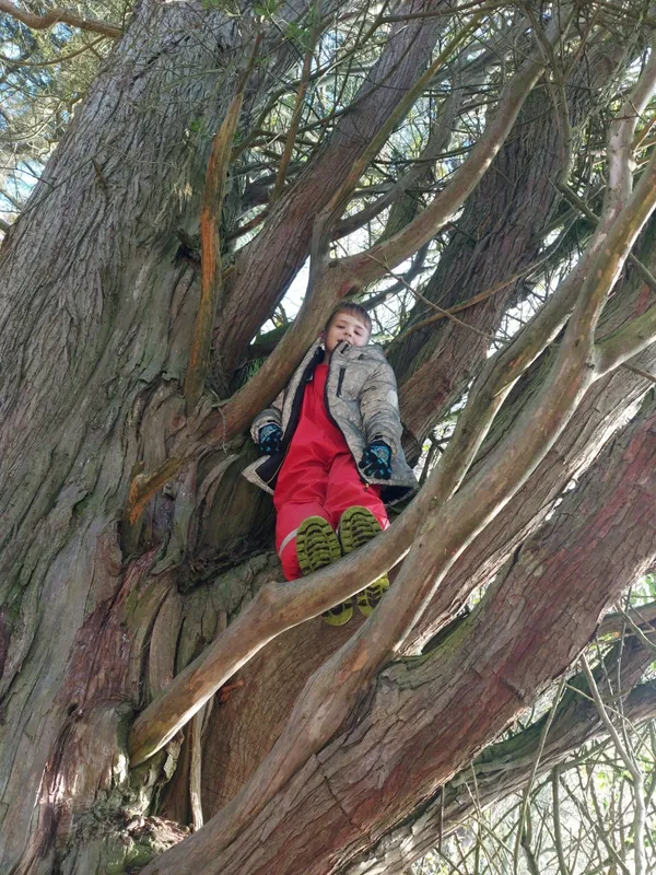 Gallery - created at 2022-11-14 17:15:19 - image 2