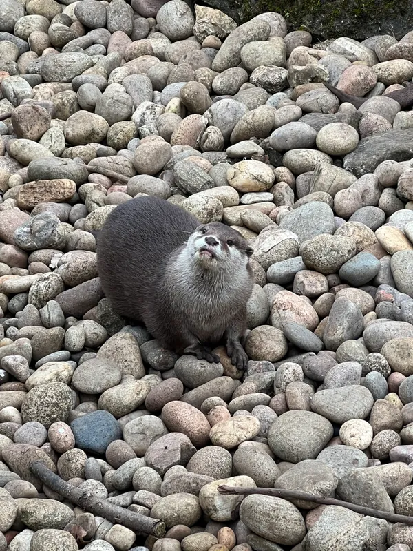 Gallery - created at 2023-02-28 20:50:59 - image 7 Gallery - created at 2023-02-28 20:50:59 - image 7