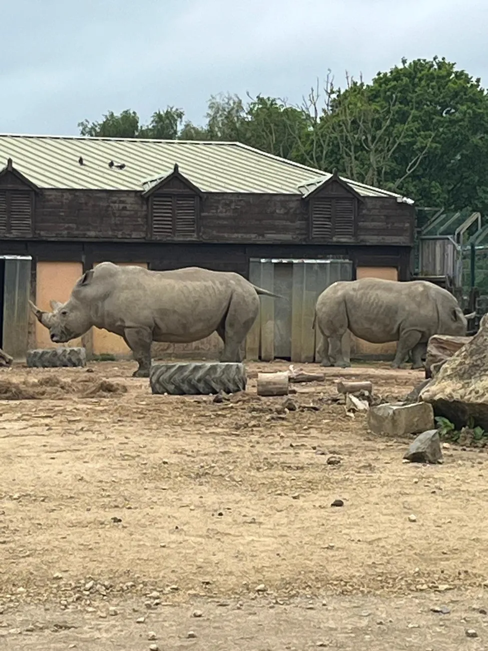 Gallery - created at 2024-06-06 15:03:55 - image 88