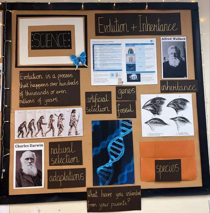 Science 2 - image 7 Science 2 - image 7