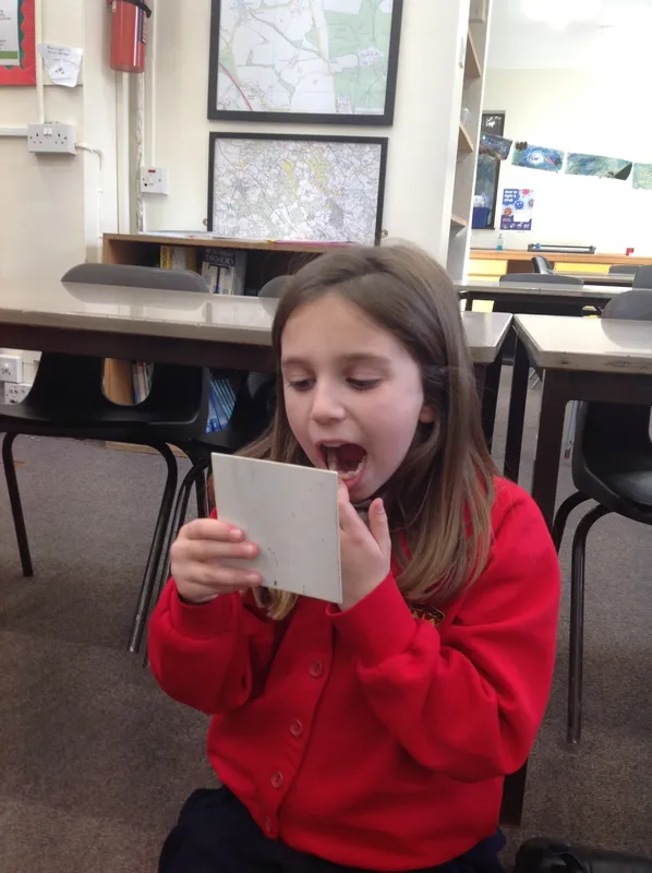 Gallery - created at 2023-11-20 19:52:26 - image 3 Gallery - created at 2023-11-20 19:52:26 - image 3