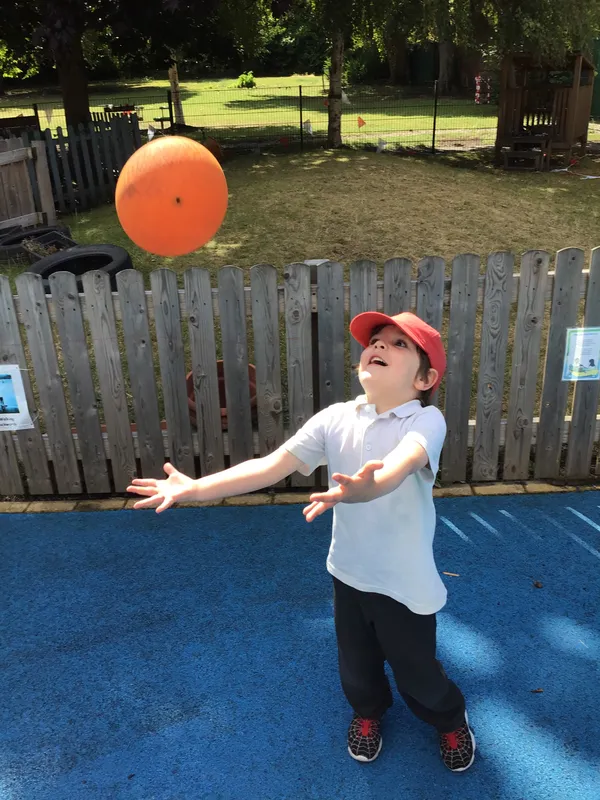 PE skills - image 2 PE skills - image 2