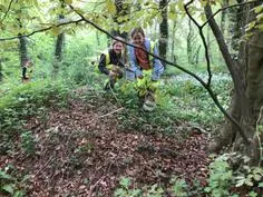 Forest School 101 - image 1 Forest School 101 - image 1