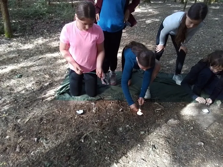 Group 3 - Survivor - image 12