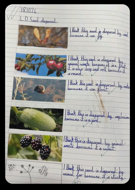 Gallery - created at 2025-05-18 08:50:55 - image 2