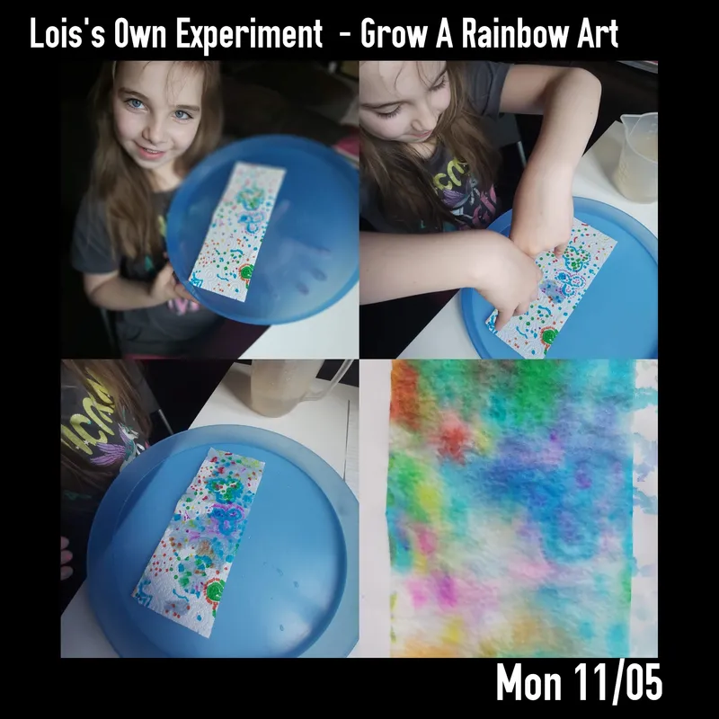 Gallery - created at 2020-05-08 13:09:41 - image 8