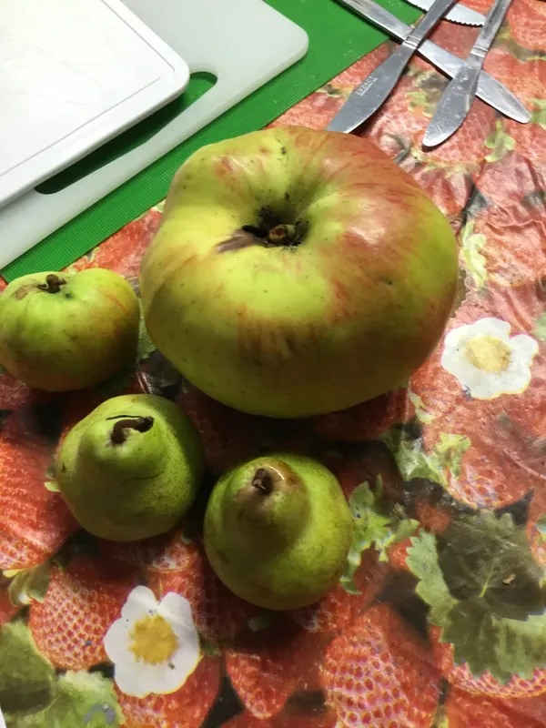 Gallery - created at 2023-10-06 18:16:31 - image 10