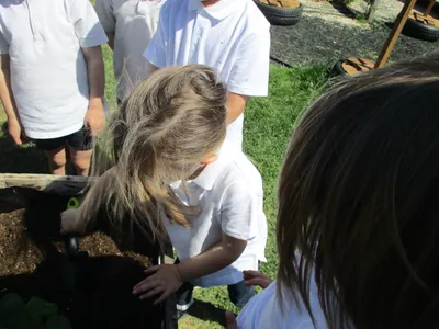 Planting - image 24