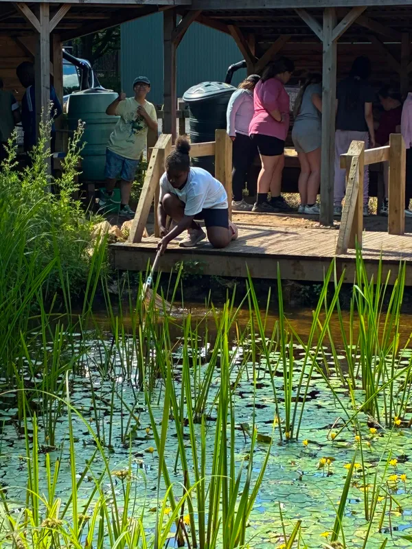 Y6 Residential - image 88