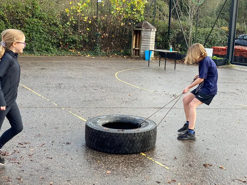 Gallery - created at 2020-11-29 11:13:33 - image 17