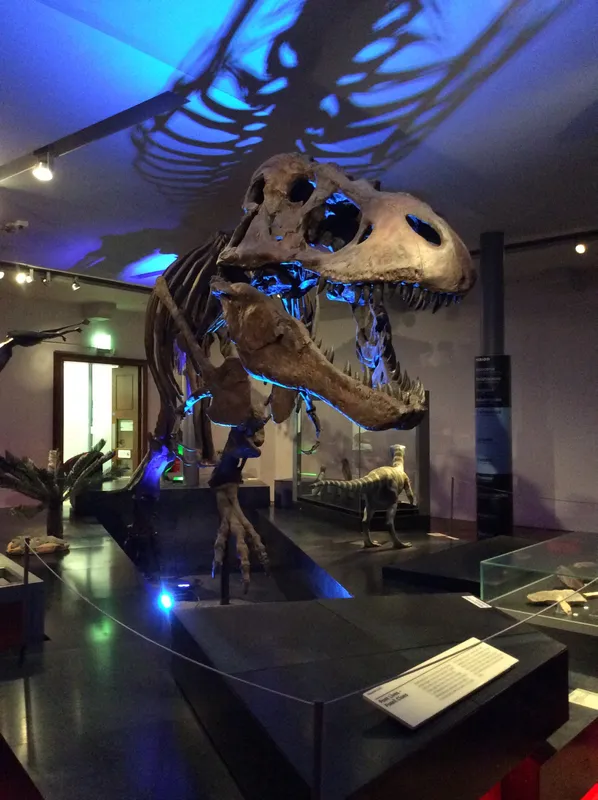 Gallery - created at 2024-02-09 11:53:37 - image 74