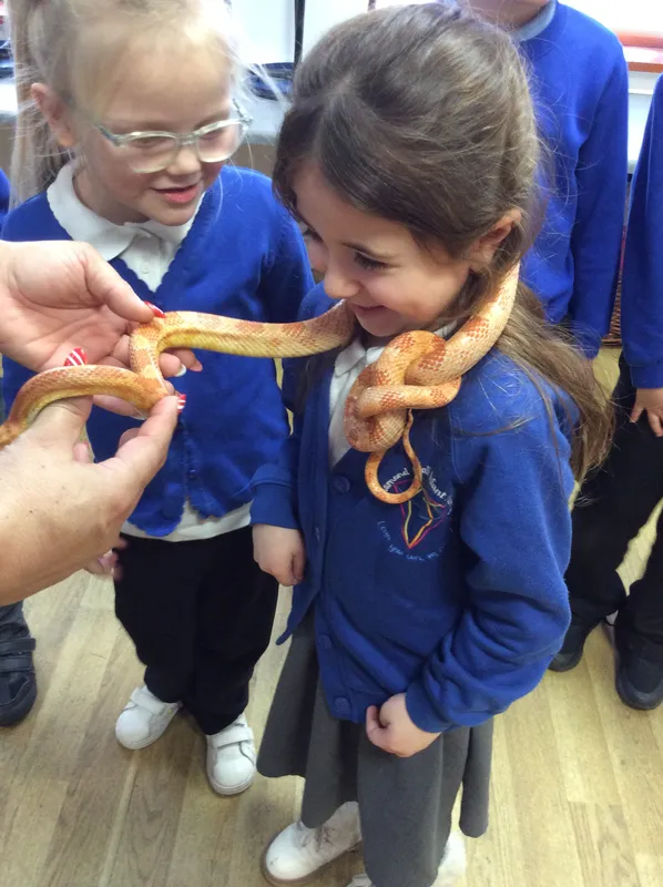 Gallery - created at 2024-02-26 17:15:57 - image 56 Gallery - created at 2024-02-26 17:15:57 - image 56