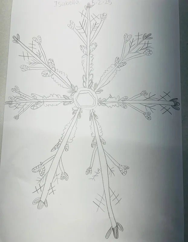 Gallery - created at 2025-02-07 11:28:19 - image 1