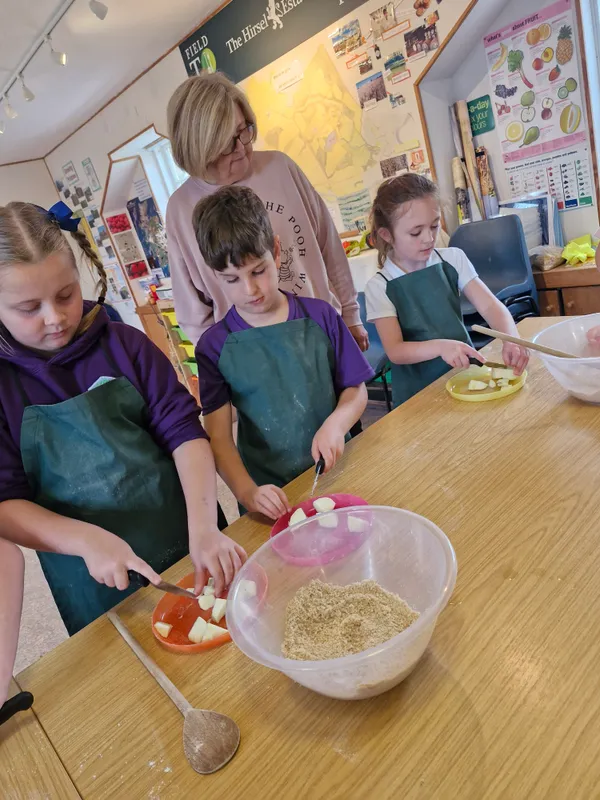 Gallery - created at 2024-10-02 11:38:57 - image 2 Gallery - created at 2024-10-02 11:38:57 - image 2