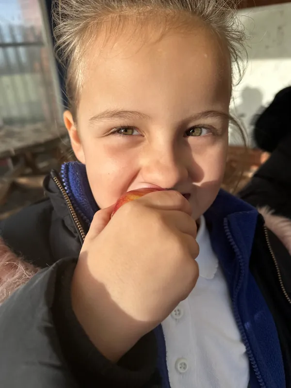 Tesco Fruit & Veg Scheme - image 15 Tesco Fruit & Veg Scheme - image 15