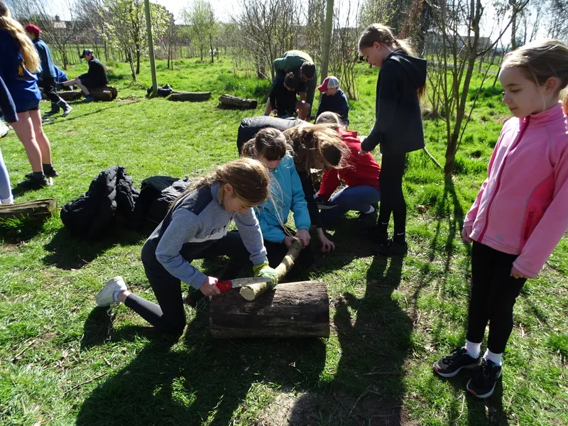 Years 5&6 Forest Schools - image 7