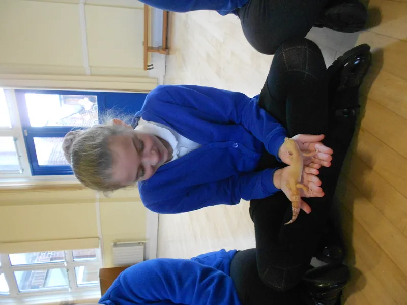 Y6 Reptile Rendezvous - image 34