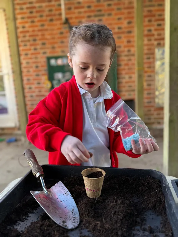 Gallery - created at 2025-03-23 10:29:25 - image 5