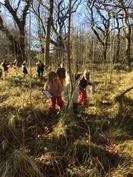 Forest School 112 - image 2 Forest School 112 - image 2