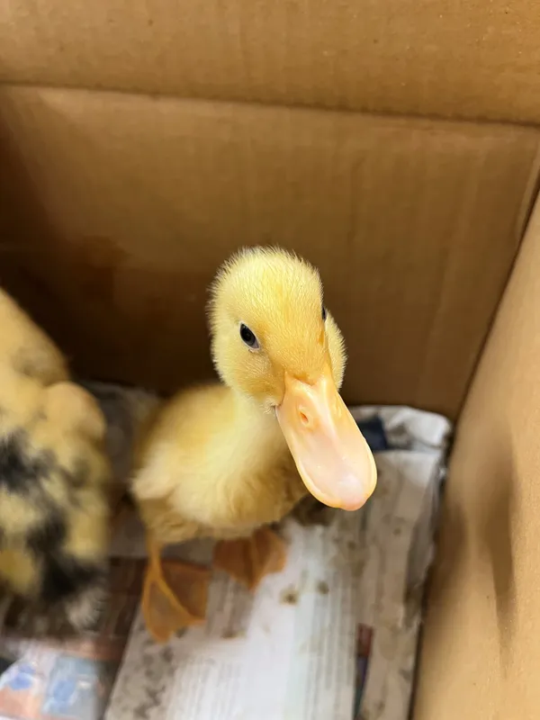 Gallery - created at 2023-05-26 11:48:29 - image 5