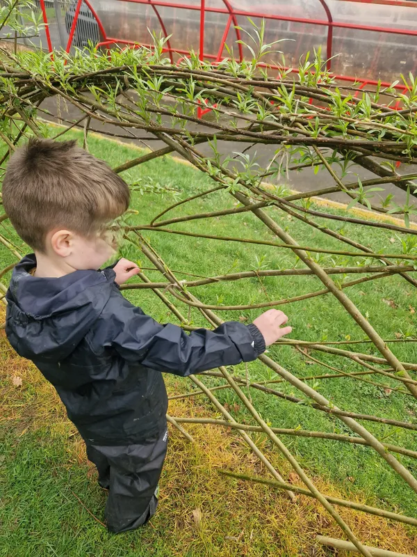 Forest School - image 5
