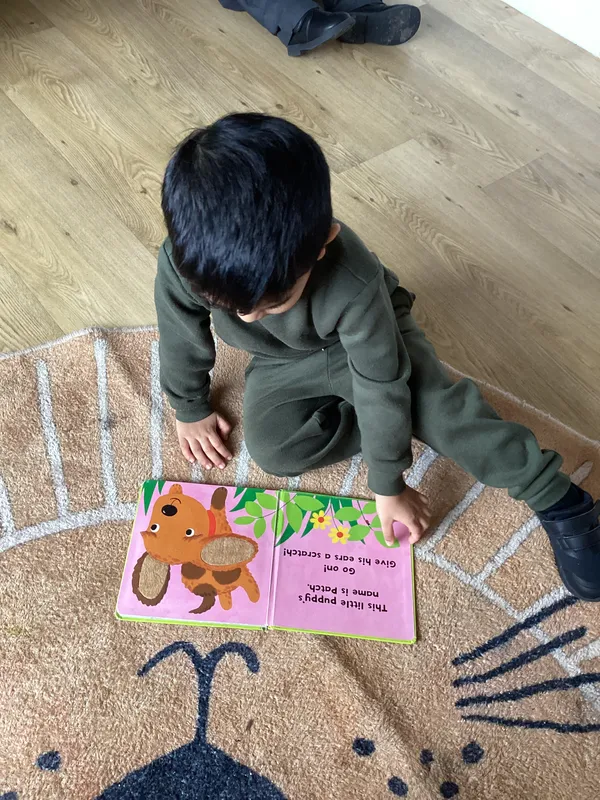 Gallery - created at 2024-10-31 07:35:31 - image 27 Gallery - created at 2024-10-31 07:35:31 - image 27