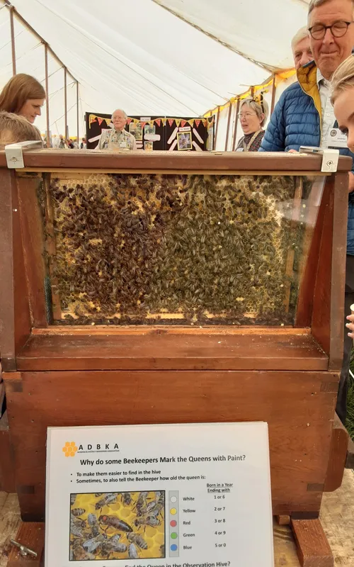 Gallery - created at 2025-06-06 10:40:13 - image 23 Gallery - created at 2025-06-06 10:40:13 - image 23