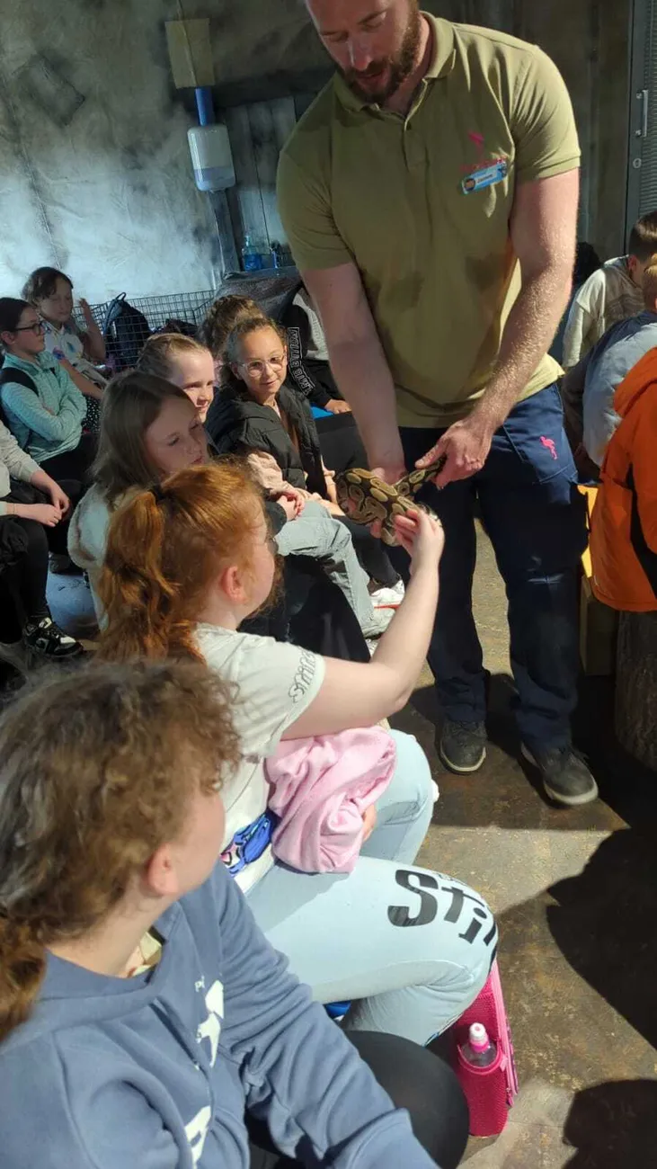 Gallery - created at 2024-06-06 15:03:55 - image 57