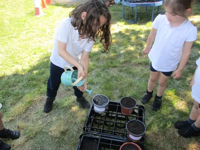 Planting - image 4
