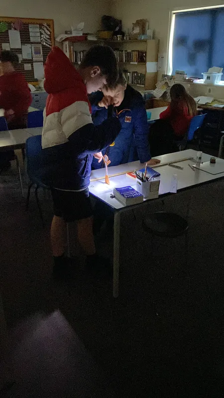 Gallery - created at 2024-02-29 10:56:03 - image 20