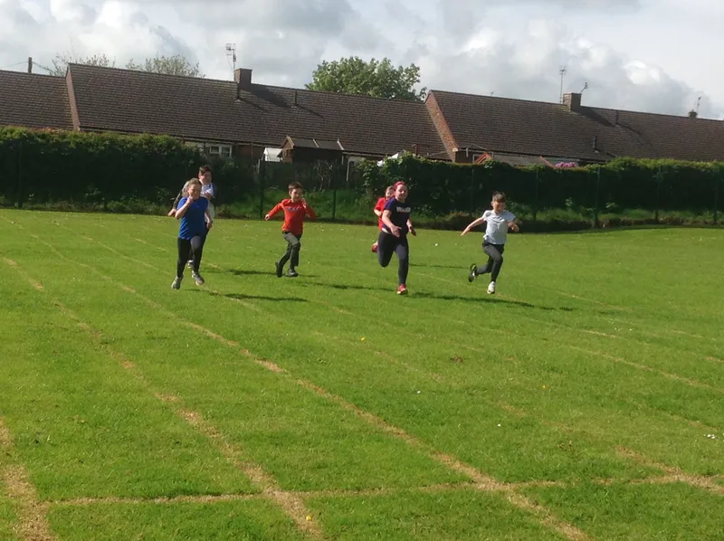 Gallery - created at 2021-06-11 14:15:06 - image 4