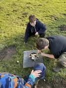 Forest School 80 - image 1 Forest School 80 - image 1