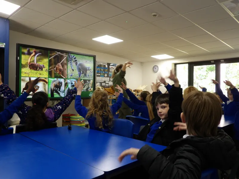 Y3 Yorkshire Wildlife Park Trip - image 39