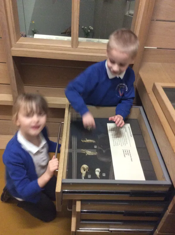 Gallery - created at 2024-02-09 11:53:37 - image 30