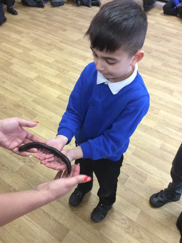 Gallery - created at 2024-03-05 13:52:56 - image 49 Gallery - created at 2024-03-05 13:52:56 - image 49